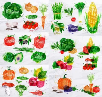 水彩蔬菜素材