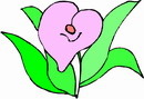 花朵鲜花_841eps,ai矢量模版下载
