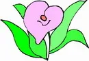 花朵鲜花_841eps,ai矢量模版下载