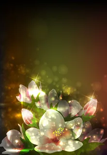 幻彩花朵矢量3 幻彩花朵矢量3