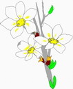 花朵鲜花_524eps,ai矢量模版下载