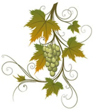 葡萄树矢量素材