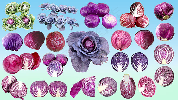 各类红色蔬菜(5312X2988(DPI:72))psd模版下载