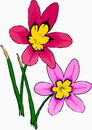 花朵鲜花_455eps,ai矢量模版下载