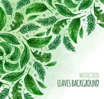 绿色水彩叶子