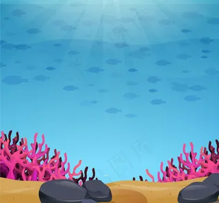 海底珊瑚和鱼群