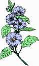 花朵鲜花_46eps,ai矢量模版下载