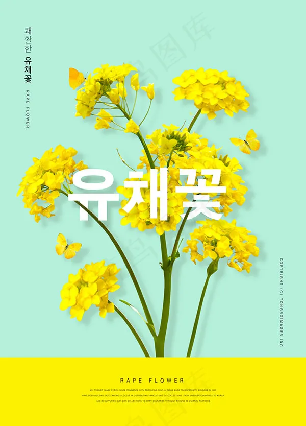 油菜花海报(3555X4942(DPI:300))psd模版下载
