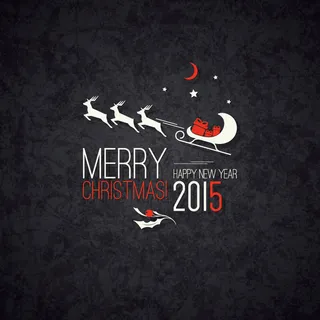 2015圣诞雪橇