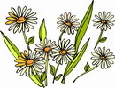花朵鲜花_108eps,ai矢量模版下载