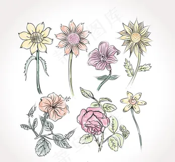 彩绘花朵设计 彩绘花朵设计