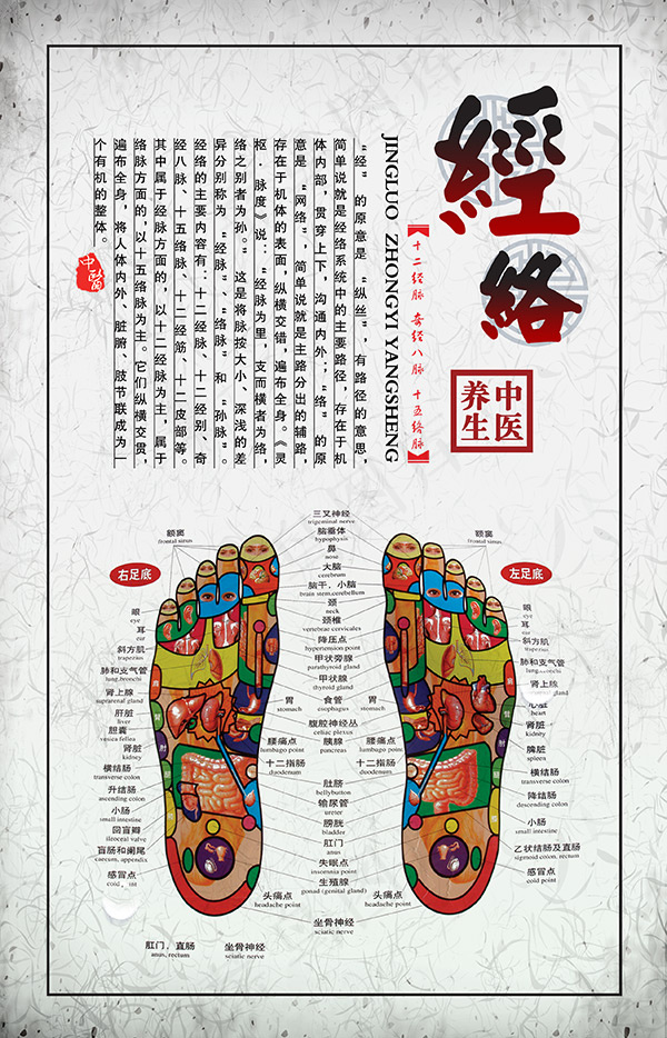 经络足底穴位图(2551X3969(DPI:120))psd模版下载