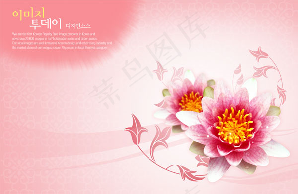 精美花卉装饰psd模版下载