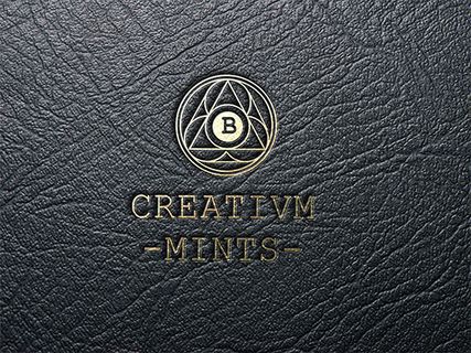 皮质封面logo样机