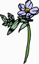 花朵鲜花_126eps,ai矢量模版下载