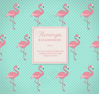 火烈鸟无缝背景