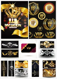 VIP卡矢量 VIP卡矢量
