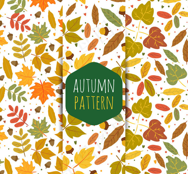 秋季树叶无缝背景