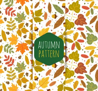 秋季树叶无缝背景