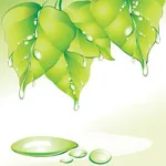 绿叶水珠矢量eps,ai矢量模版下载