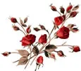 PSD精美花纹_143psd模版下载