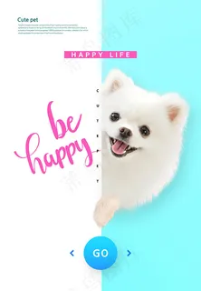 宠物狗海报 宠物狗海报