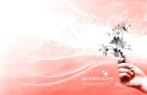 星光与线条花朵