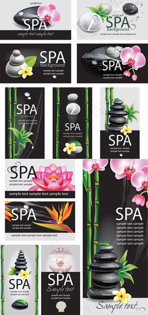 SPA主题banner