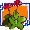 花朵鲜花_965eps,ai矢量模版下载