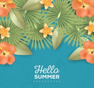 鸡蛋花和扶桑花