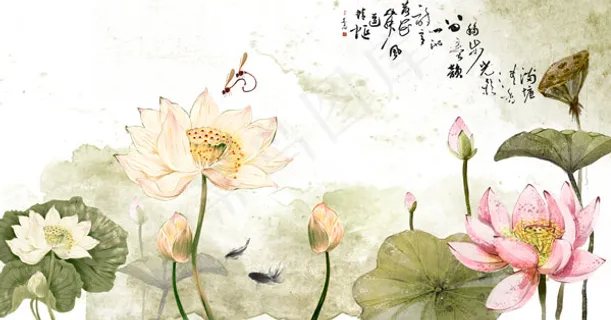 古典荷花荷叶 古典荷花荷叶