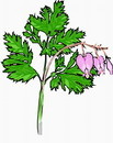 花朵鲜花_114eps,ai矢量模版下载