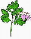 花朵鲜花_114eps,ai矢量模版下载
