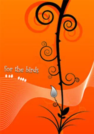 矢量藤类植物与线条元素,免抠元素