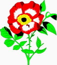 花朵鲜花_588eps,ai矢量模版下载