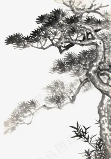 黑色水墨松树 黑色水墨松树