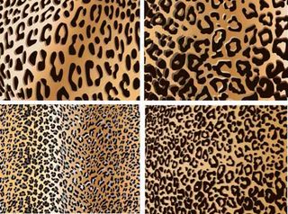 动物毛皮纹理背景