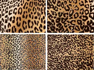 动物毛皮纹理背景