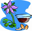 花朵鲜花_512eps,ai矢量模版下载