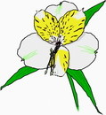 花朵鲜花_599eps,ai矢量模版下载