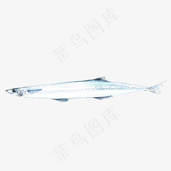 水墨银鱼