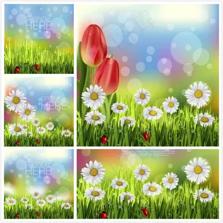 郁金香与梦幻光斑