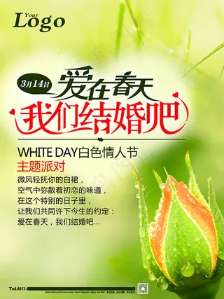 我们结婚吧海报