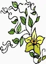 花朵鲜花_641eps,ai矢量模版下载