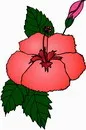 花朵鲜花_90eps,ai矢量模版下载