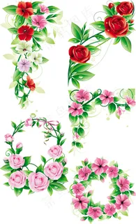 精美鲜花矢量