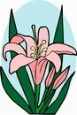 花朵鲜花_639eps,ai矢量模版下载