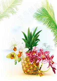 菠萝和蝴蝶兰 菠萝和蝴蝶兰