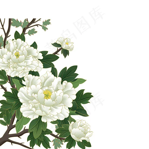 牡丹花psd模版下载