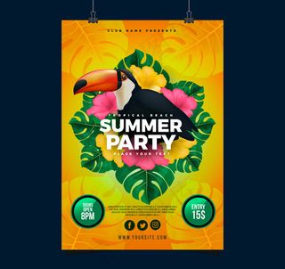 巨嘴鸟夏季派对传单